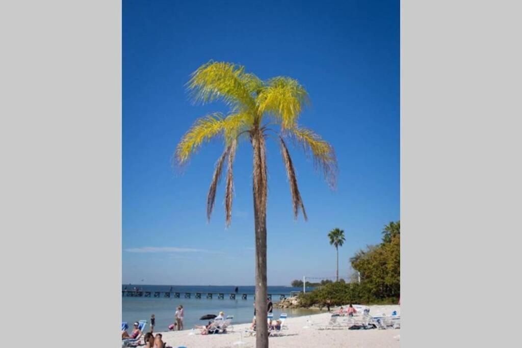 Manatee, Studio202, Beach Steps Away! Pool+Wifi Ruskin Exterior foto